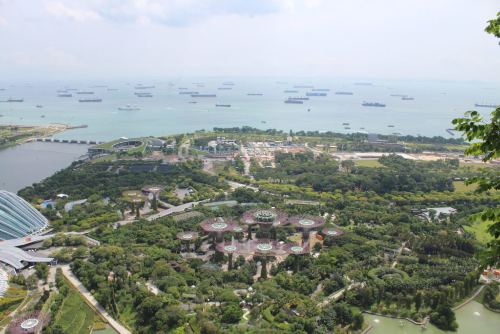 Gardens by the Bay Übersicht