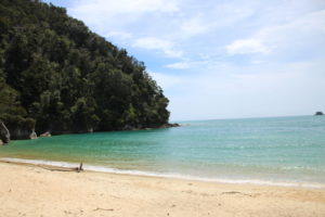 Abel Tasman Nationalpark - Pflicht auf jeder Neuseeland Rundreise