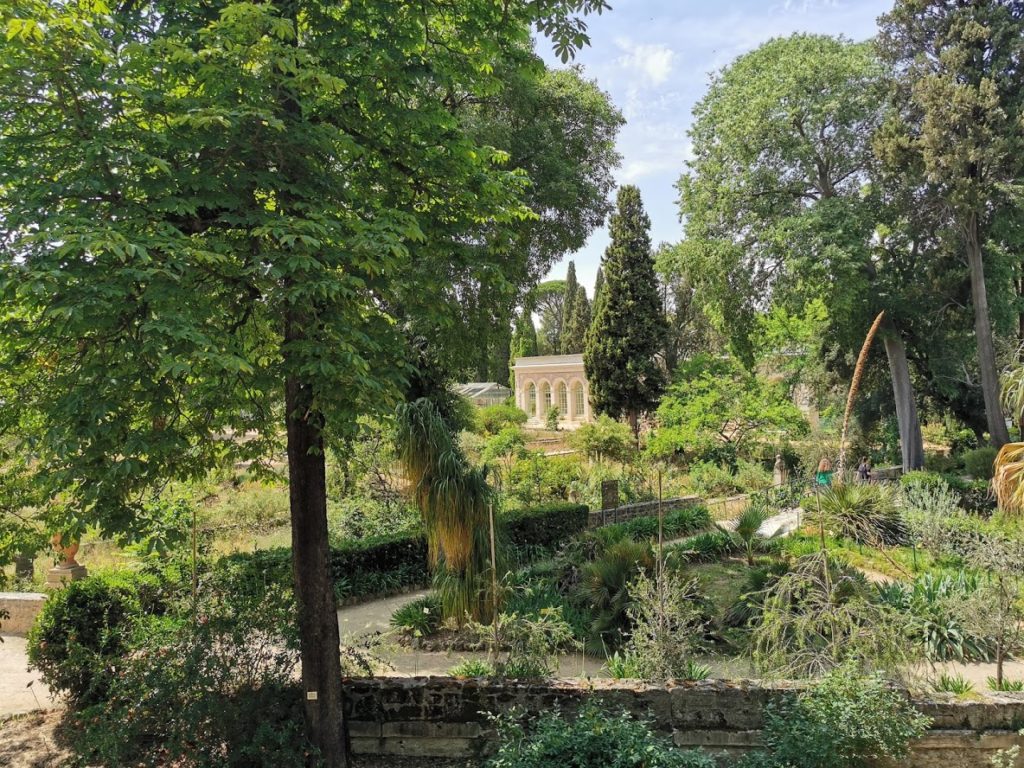 Botanischer Garten