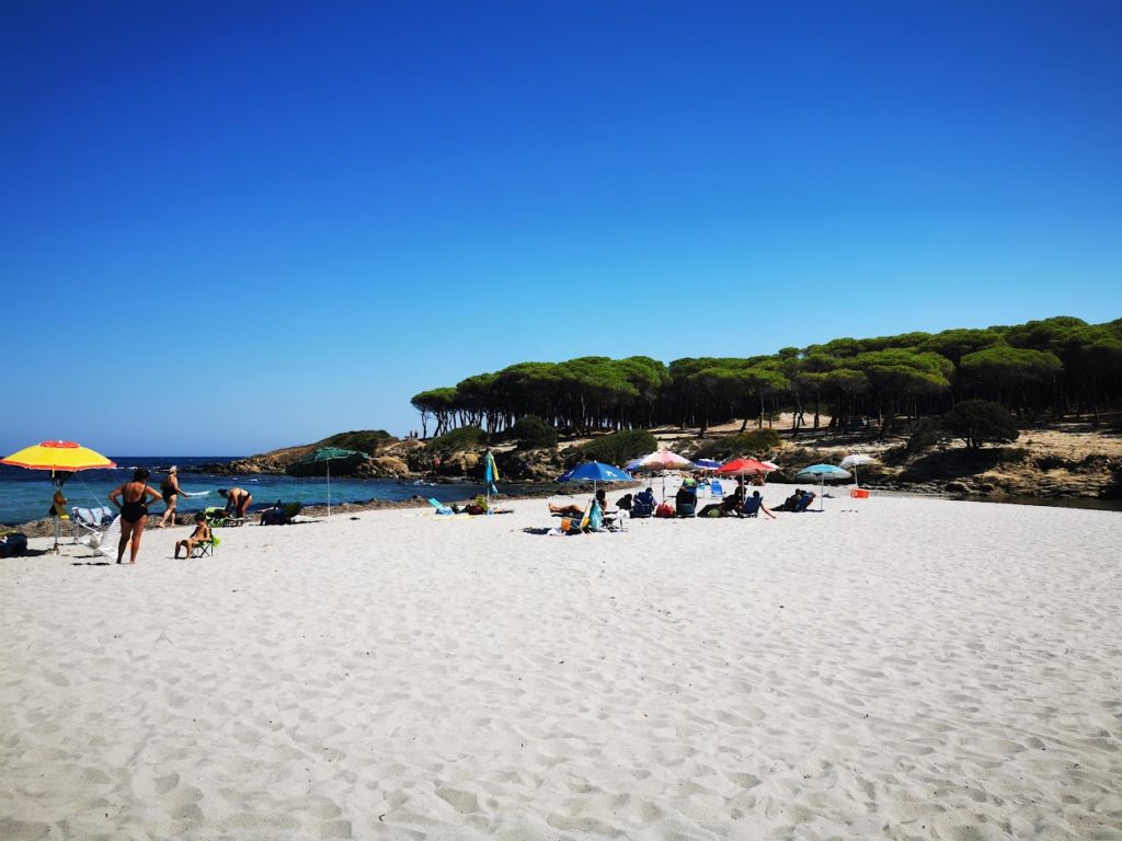 Strand Sant'Anna mit wunderbaren Pinienbäumen im Hintergrund