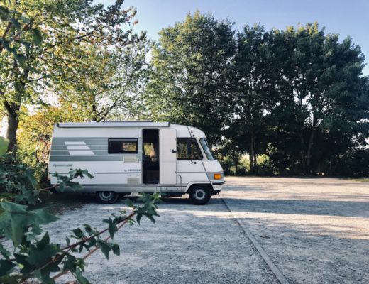 white van parked near green tree during daytime