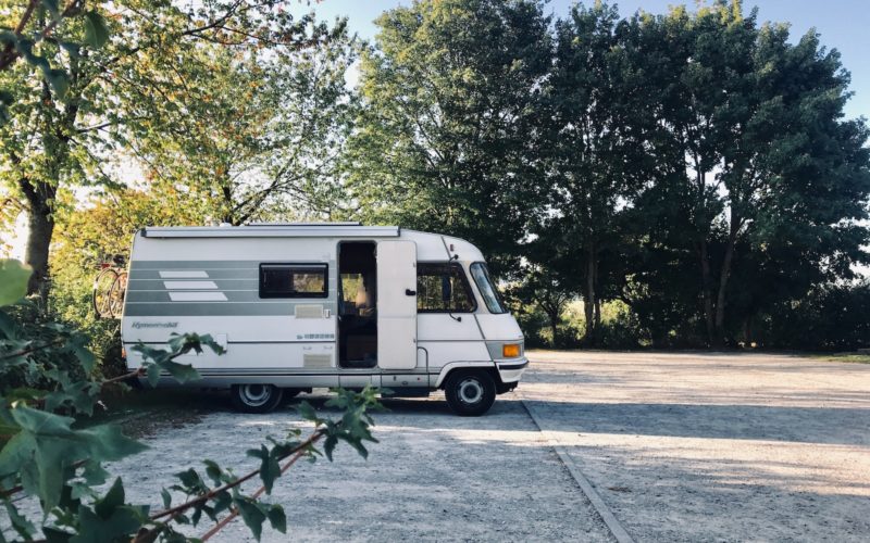 white van parked near green tree during daytime