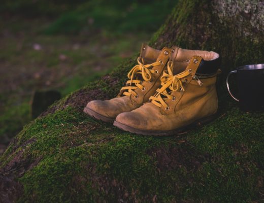 boots, shoes, moss