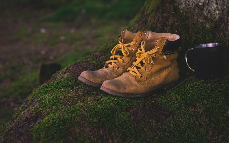 boots, shoes, moss