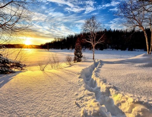 winter landscape, sunset, cold