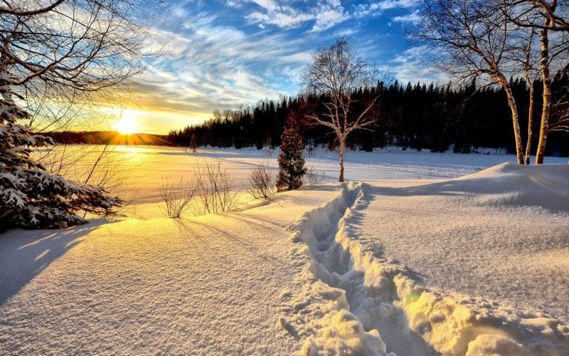 winter landscape, sunset, cold