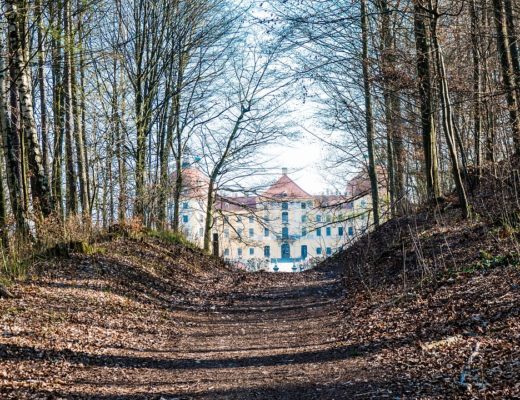 schloss moritzburg, wald, abendlicht