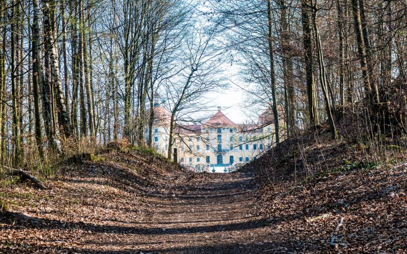 schloss moritzburg, wald, abendlicht